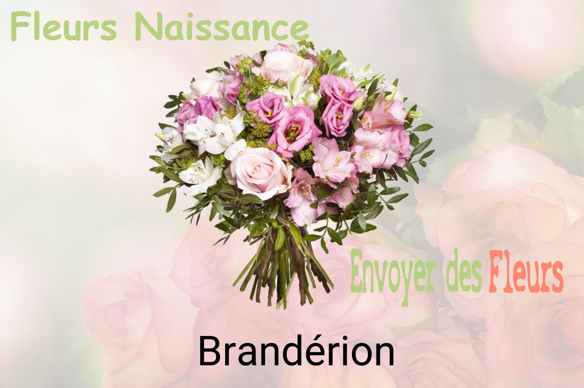 Bouquet de fleurs de naissance livré à Brandérion