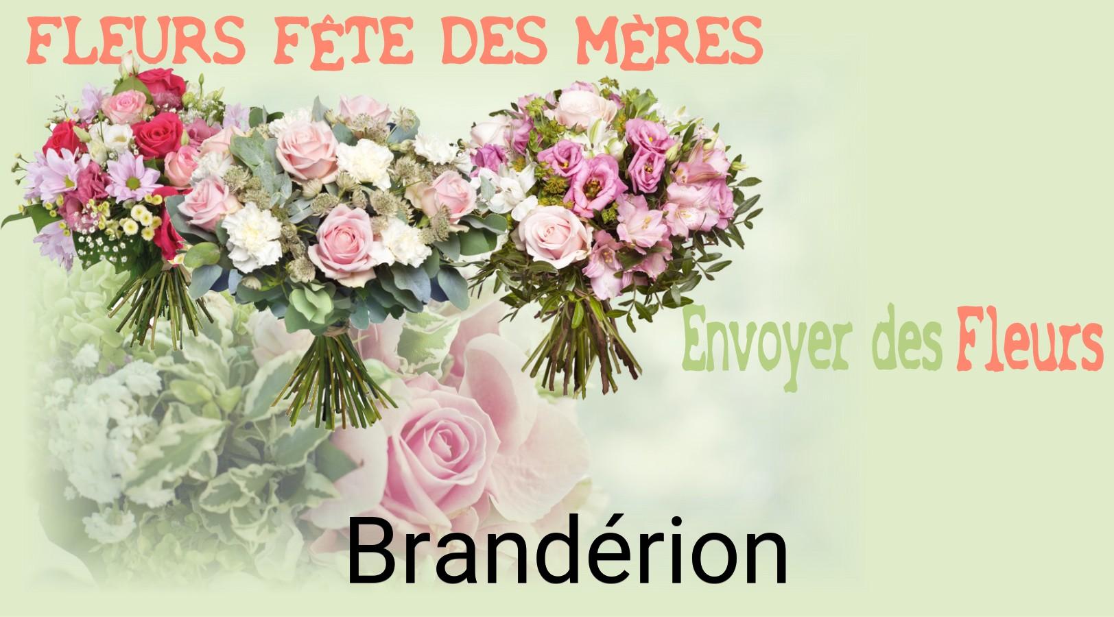 Bouquet de Fête des Mères livré à Brandérion